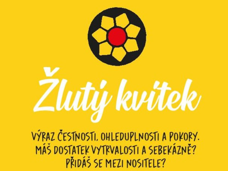 ŽLUTÝ KVÍTEK